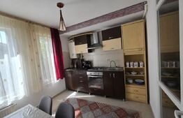 Apartament decomandat cu terasă și parcare, 2 camere, zona de case, Florilor!