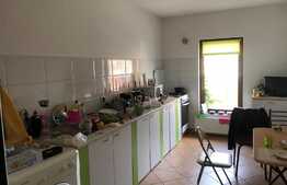 Duplex, 190 mp, 230 mp teren, zona linistita de case