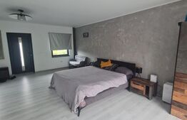 Doua case, 1100 mp de teren, zona Avram Iancu, posibilitate achizitie separata