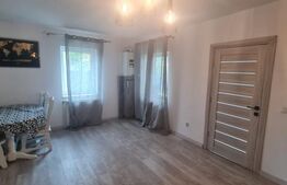 Doua case, 1100 mp de teren, zona Avram Iancu, posibilitate achizitie separata