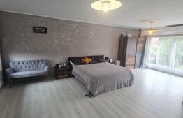 Doua case, 1100 mp de teren, zona Avram Iancu, posibilitate achizitie separata