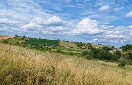 Teren intravilan ideal pentru casa, 4300 mp, Deusu - Chinteni