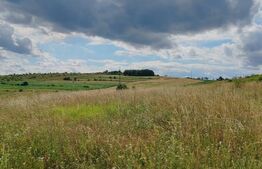 Teren intravilan ideal pentru casa, 4300 mp, Deusu - Chinteni