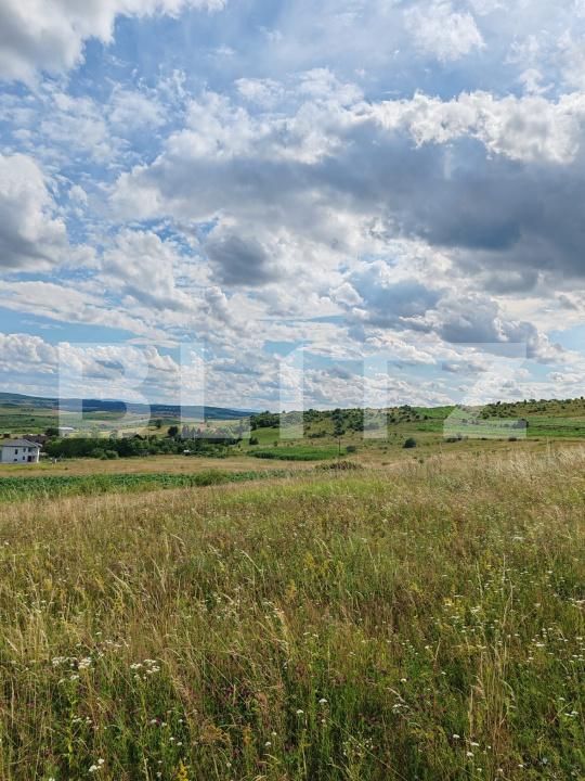 Teren de vânzare Exterior Nord - 200236TV | BLITZ Cluj-Napoca | Poza4