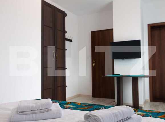 Spațiu comercial de vânzare Prejmer - 200251SVC | BLITZ Brașov | Poza15