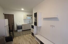 Apartament 2 camere, terasa, 40 mp, parcare, zona Mihai Romanu