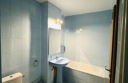 Apartament de vanzare, 2 camere, Zizinului, Centru Civic