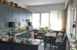 Vanzare duplex, 355 mp utili, 383 mp teren, zona linistita