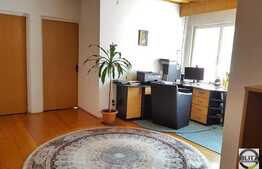 Vanzare duplex, 355 mp utili, 383 mp teren, zona linistita