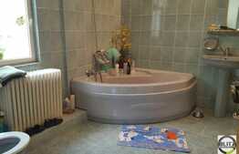 Vanzare duplex, 355 mp utili, 383 mp teren, zona linistita