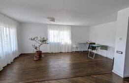 Penthouse cu 4 camere, 165 mp, terasa de 150 mp, 2 parcari, zona Stejarului