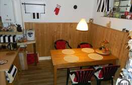 Vanzare casa individuala, 136 mp utili, zona Gradinii Botanice!