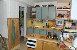 Vanzare casa individuala, 136 mp utili, zona Gradinii Botanice!