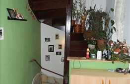 Vanzare casa individuala, 136 mp utili, zona Gradinii Botanice!