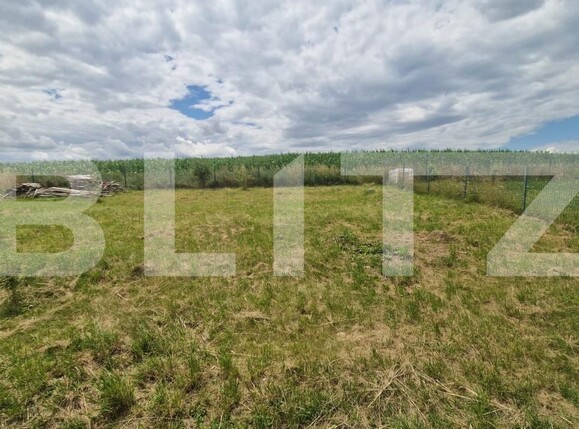 Casa de vânzare 4 camere Bod - 200378CV | BLITZ Brașov | Poza18