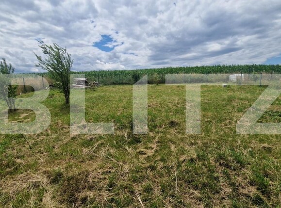 Casa de vânzare 4 camere Bod - 200378CV | BLITZ Brașov | Poza17