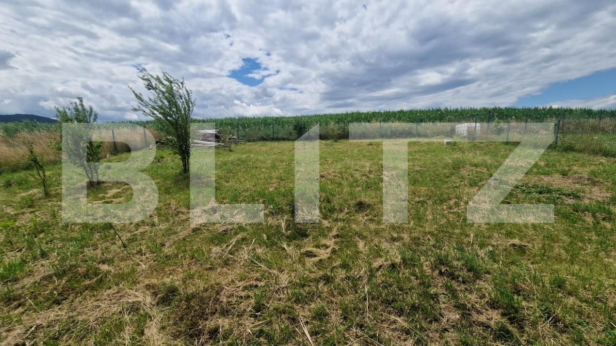 Casa de vânzare 4 camere Bod - 200378CV | BLITZ Brașov | Poza17
