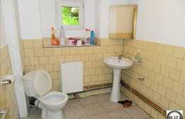 Casa ultracentrala, la 3 minute de Piata Unirii, Demisol + Parter, 366 mp