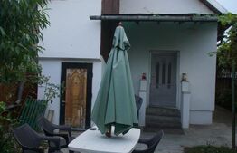 Liniște, spațiu -casă primitoare cu curte mare, gata de mutare, în Câmpia Turzii