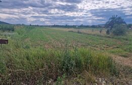 Teren intravilan generos, de 4.300 mp, în Com. Iclod 