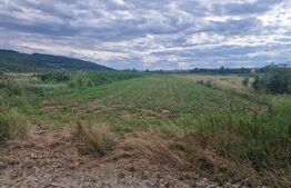 Teren intravilan generos, de 4.300 mp, în Com. Iclod 