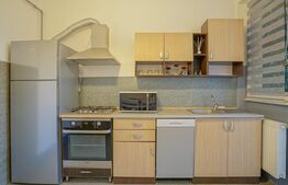 Apartament in vila , 3 camere Zona Centrala cu pivnita , baie ,balcon mare 