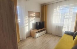 Apartament 2 camere, terasa 45mp,  parcare, zona strazii Mihai Romanul
