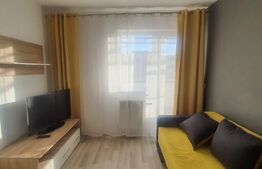 Apartament 2 camere, terasa 45mp,  parcare, zona strazii Mihai Romanul