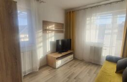 Apartament 2 camere, terasa 45mp,  parcare, zona strazii Mihai Romanul