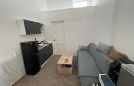 Depozit + show-room, 100 mp, zona Bulgaria 