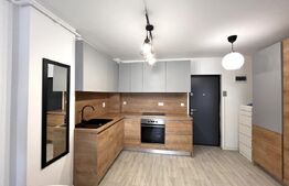 Apartament lux cu 3 camere, birou set up, 60 mp, zona Horea 