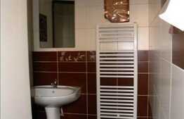 Spatiu 450 mp utili !In zona Centrala!