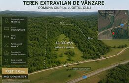 Teren extravilan, 13.300 mp în Ciurila | Formă dreptunghiulară | 5 €/mp