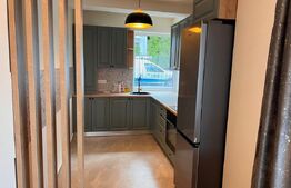 Duplex 5 camere, Lux, 157 mp, 100 mp curte, Manastur