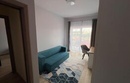Duplex 5 camere, Lux, 157 mp, 100 mp curte, Manastur