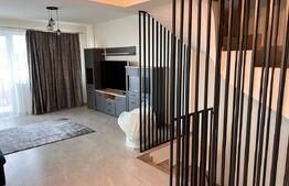 Duplex 5 camere, Lux, 157 mp, 100 mp curte, Manastur