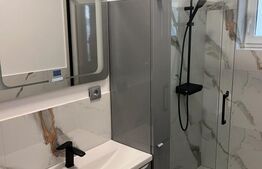 Duplex 5 camere, Lux, 157 mp, 100 mp curte, Manastur