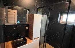 Duplex 5 camere, Lux, 157 mp, 100 mp curte, Manastur