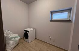Duplex 5 camere, Lux, 157 mp, 100 mp curte, Manastur