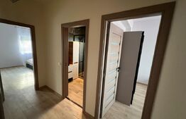 Duplex 5 camere, Lux, 157 mp, 100 mp curte, Manastur
