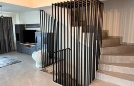 Duplex 5 camere, Lux, 157 mp, 100 mp curte, Manastur