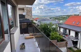 Duplex 5 camere, Lux, 157 mp, 100 mp curte, Manastur