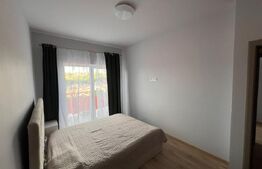 Duplex 5 camere, Lux, 157 mp, 100 mp curte, Manastur