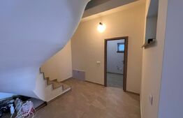 Duplex 5 camere, Lux, 157 mp, 100 mp curte, Manastur
