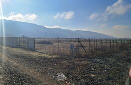 Teren intravilan, construibil 2600 mp+6100 mp extravilan necesita PUZ, Livada !