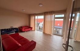 Duplex 5 camere, Lux, 157 mp, 100 mp curte, Manastur