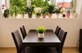 Apartament 2 camere decomandate, 57 mp, zona Zorilor