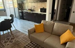Apartament 2 camere, 45 mp, parcare, zona Teilor