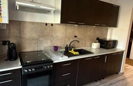 Apartament 2 camere, 45 mp, parcare, zona Teilor