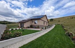 Casa de vânzare 4 camere Jucu de Sus - 179675CV | BLITZ Cluj-Napoca | Poza2